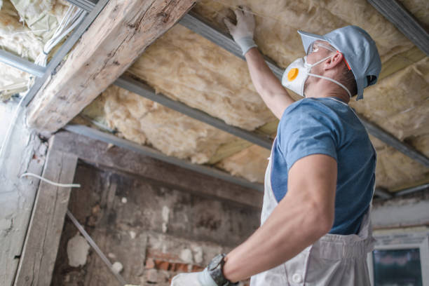 Best Insulation Installation Services in Mcalester, OK